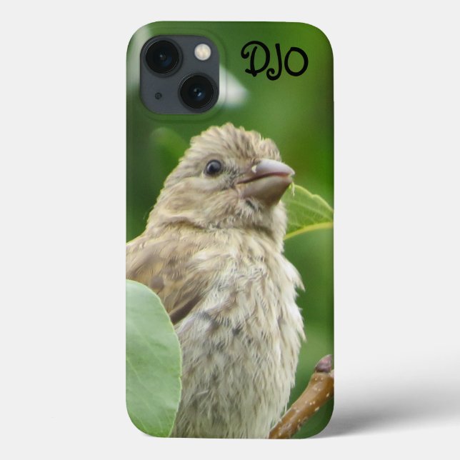 House Finch Bird Personalized Case-Mate iPhone Case (Back)
