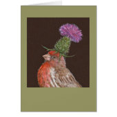 house finch card, Tucker (Front)