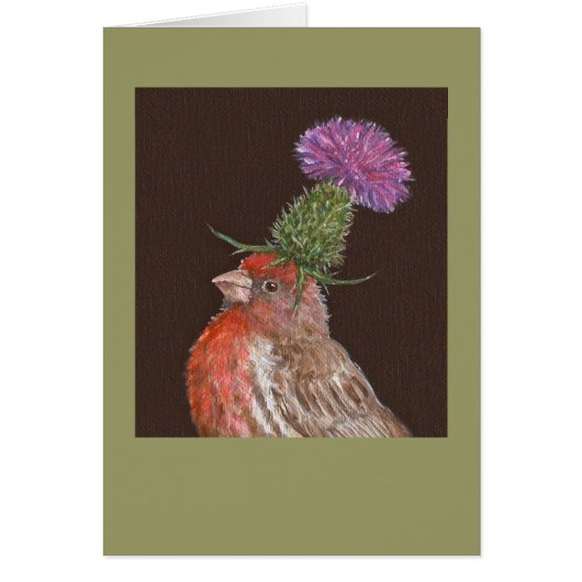 house finch card, Tucker Cards (Front)