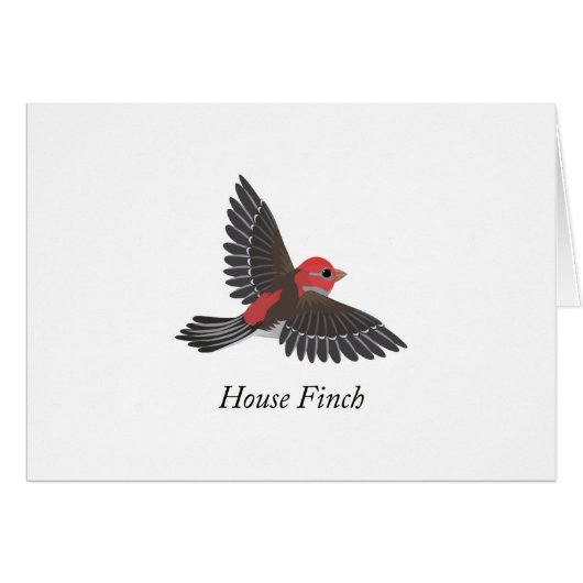 House Finch Cards (Front Horizontal)