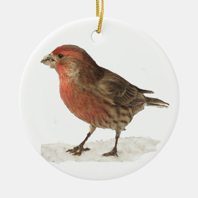 House Finch Ceramic Ornament (Front)