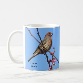 House Finch Coffee Mug By Birdingcollectibles by BirdingCollectibles at Zazzle