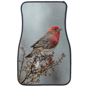House Finch in Snow - Original Photograph Car Floor Mat