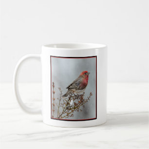 House Finch in Snow - Original Photograph Coffee Mug