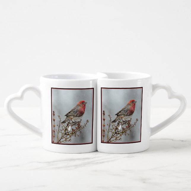 House Finch in Snow - Original Photograph Coffee Mug Set (Front Nesting)
