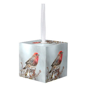 House Finch in Snow - Original Photograph Cube Ornament