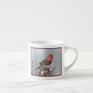 House Finch in Snow - Original Photograph Espresso Cup