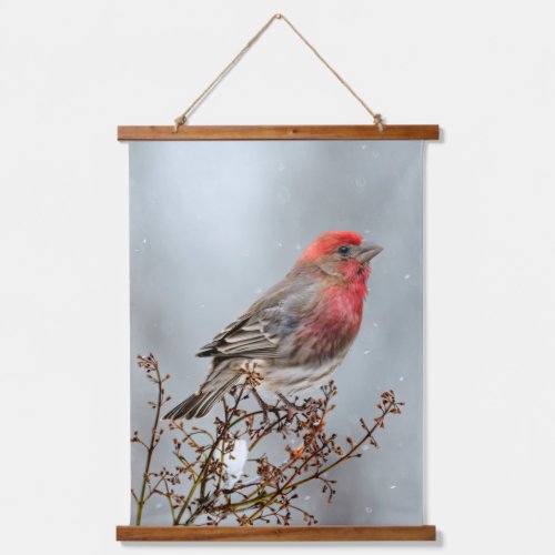 House Finch in Snow _ Original Photograph Hanging Tapestry