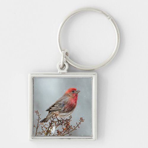 House Finch in Snow _ Original Photograph Keychain