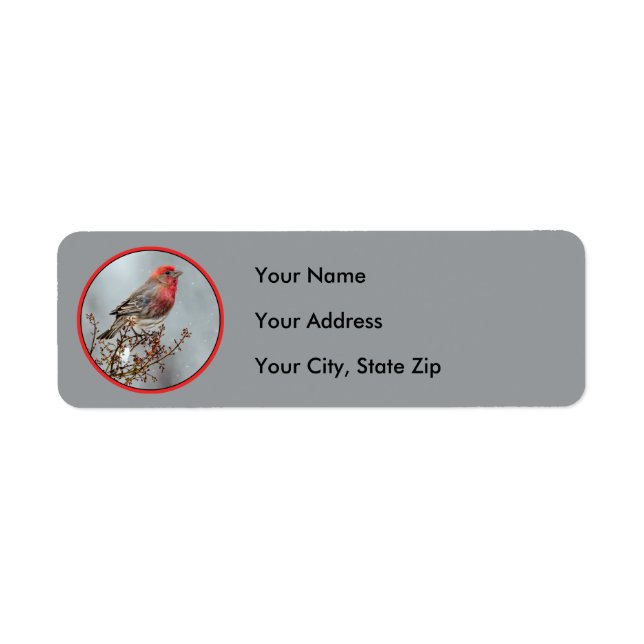 House Finch in Snow - Original Photograph Label (Front)