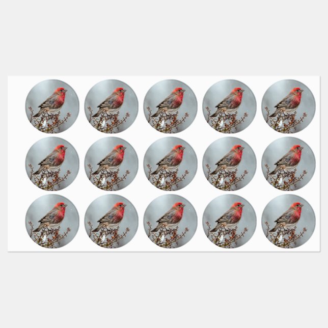 House Finch in Snow - Original Photograph Labels (Sheet)