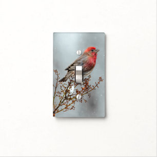 House Finch in Snow - Original Photograph Light Switch Cover