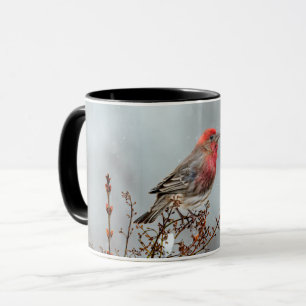 House Finch in Snow - Original Photograph Mug
