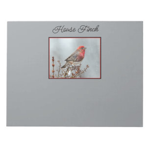 House Finch in Snow - Original Photograph Notepad
