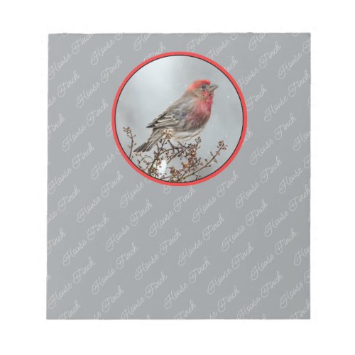 House Finch in Snow _ Original Photograph Notepad