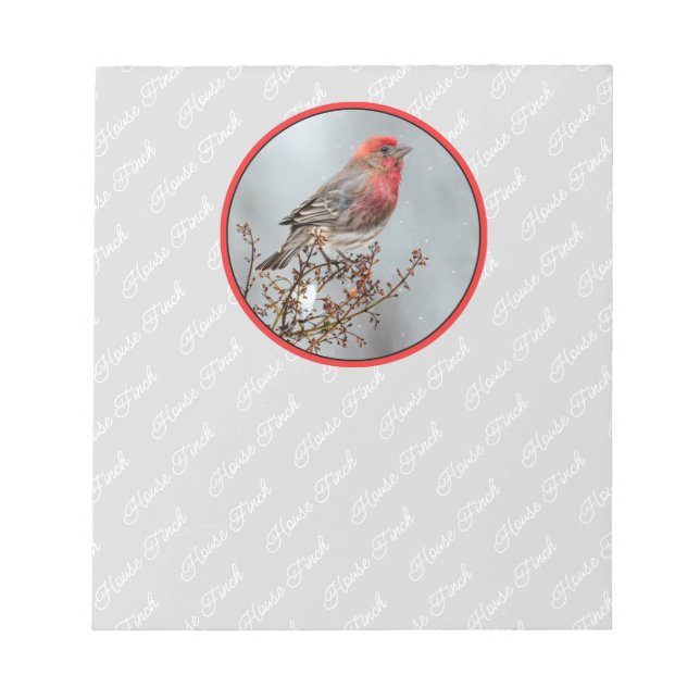 House Finch in Snow - Original Photograph Notepad (Front)