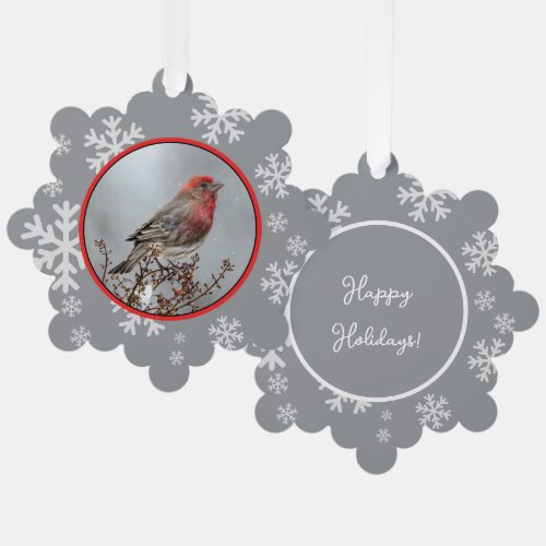 House Finch in Snow _ Original Photograph Ornament Card