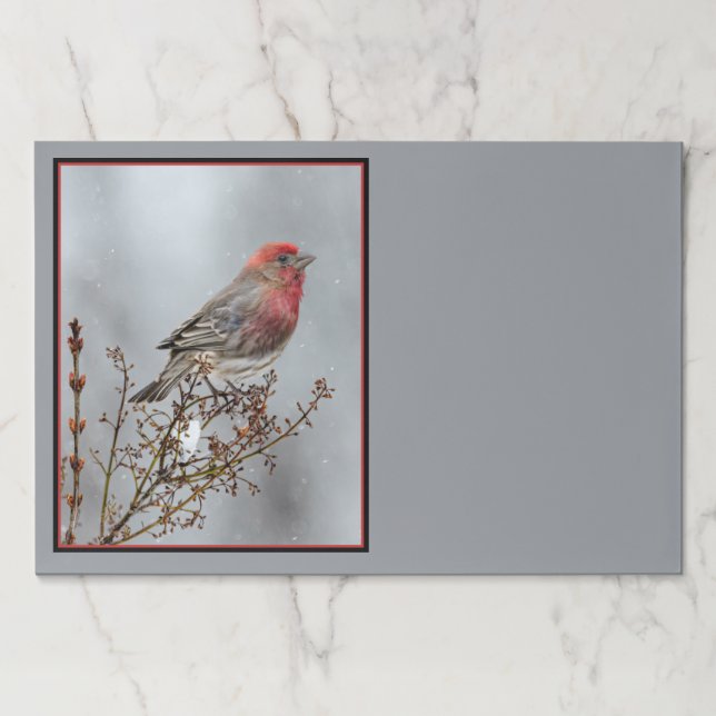 House Finch in Snow - Original Photograph Paper Pad (Front)