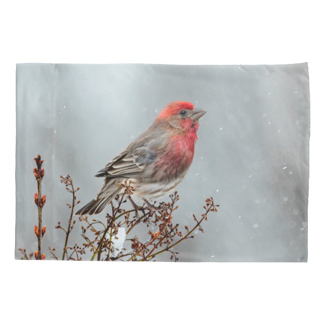 House Finch in Snow - Original Photograph Pillow Case (Back)