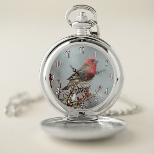 House Finch in Snow _ Original Photograph Pocket Watch