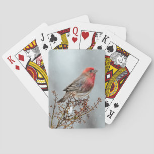 House Finch in Snow - Original Photograph Poker Cards