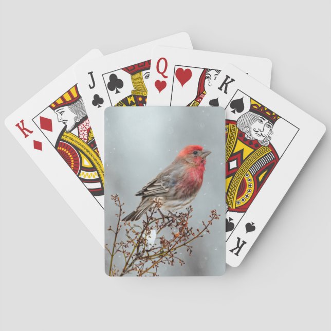House Finch in Snow - Original Photograph Poker Cards (Back)