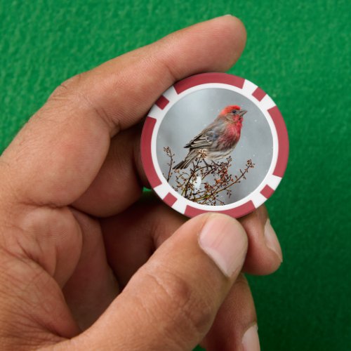 House Finch in Snow _ Original Photograph Poker Chips