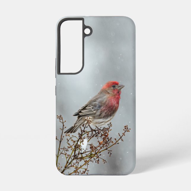 House Finch in Snow - Original Photograph Samsung Galaxy Case (Back)