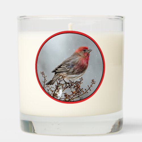 House Finch in Snow _ Original Photograph Scented Candle