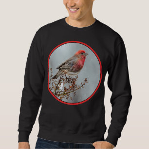 House Finch in Snow - Original Photograph Sweatshirt