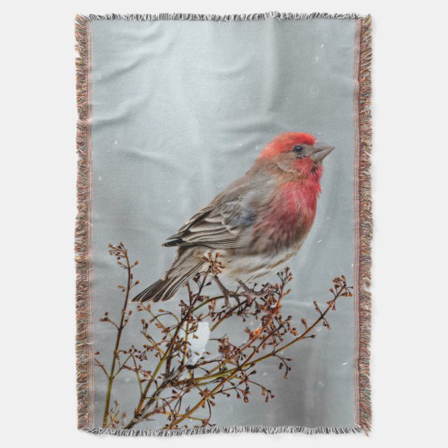 House Finch in Snow - Original Photograph Throw Blanket (Front Vertical)