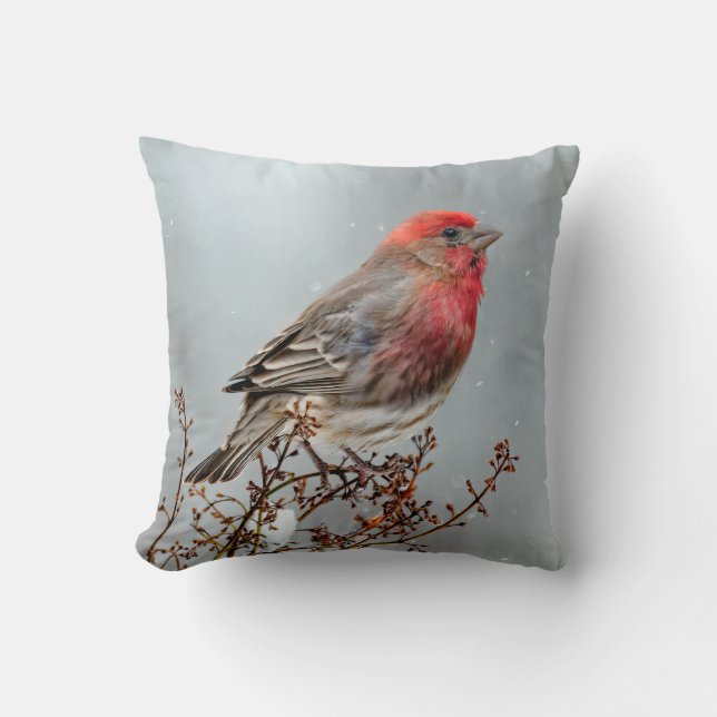 House Finch in Snow - Original Photograph Throw Pillow (Front)
