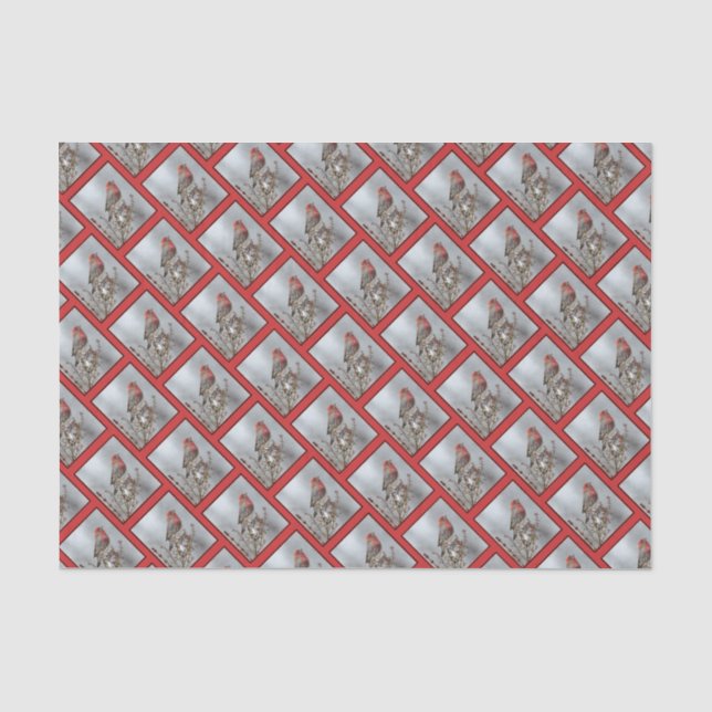 House Finch in Snow - Original Photograph Tissue Paper (Front)