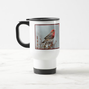 House Finch in Snow - Original Photograph Travel Mug