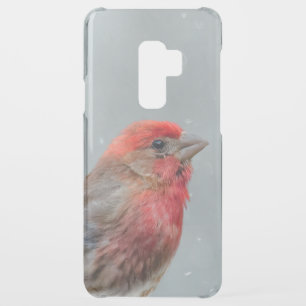 House Finch in Snow - Original Photograph Uncommon Samsung Galaxy S9 Plus Case