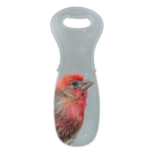 House Finch in Snow _ Original Photograph Wine Bag