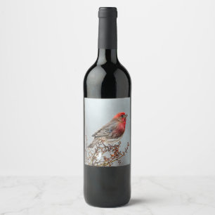 House Finch in Snow - Original Photograph Wine Label