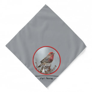 House Finch in Winter Snow Original Photograph Bandana