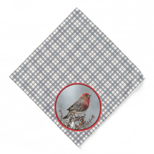 House Finch in Winter Snow Original Photograph Bandana