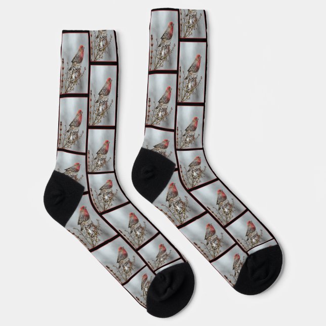 House Finch in Winter Snow Original Photograph Socks (Right)