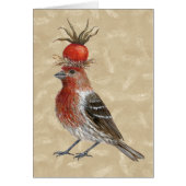 House finch on feathers card (Front)