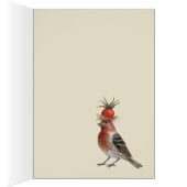 House finch on feathers card (Inside (Right))