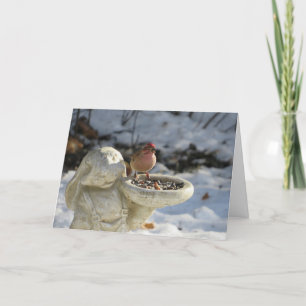 House Finch on Rabbit Bird Feeder Card
