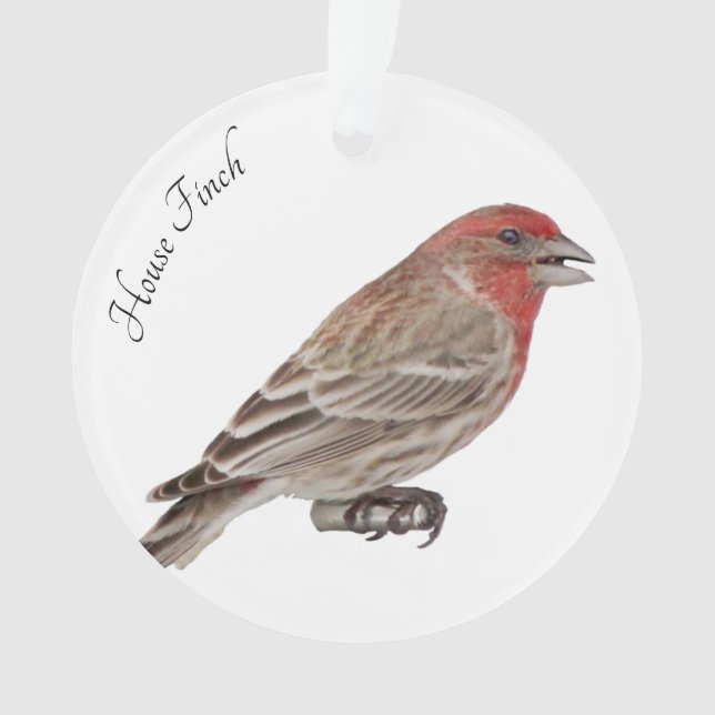 House Finch Ornament (Front)