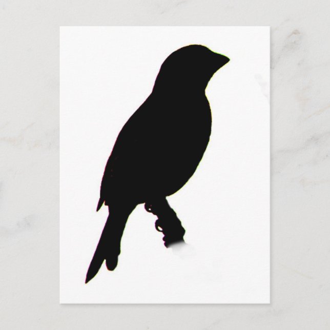 House Finch silhouette Postcard (Front)