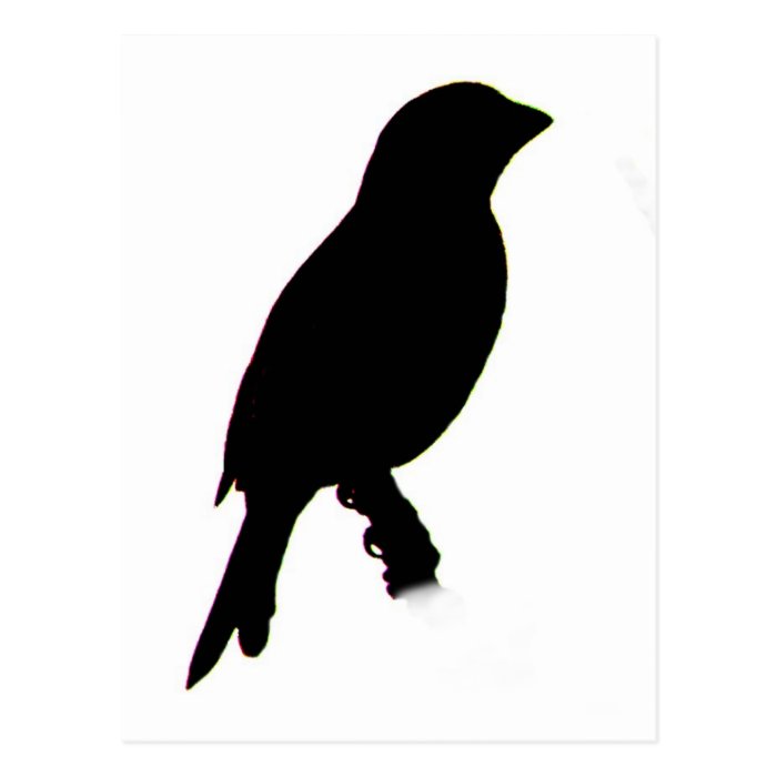 House Finch silhouette Postcard