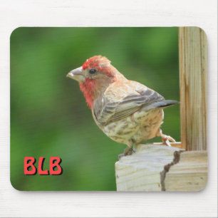 House Finch with your initials  Mouse Pad