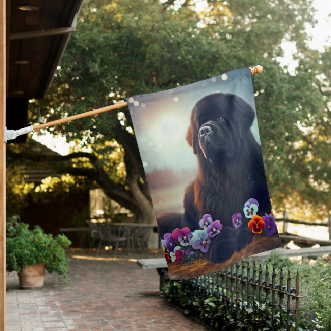 House Flag Newf In Pansies  (In SItu)