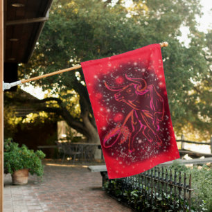 House Flag Red Bull Running At Starry Night