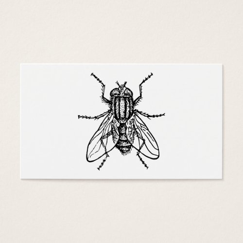 House Fly Business Card